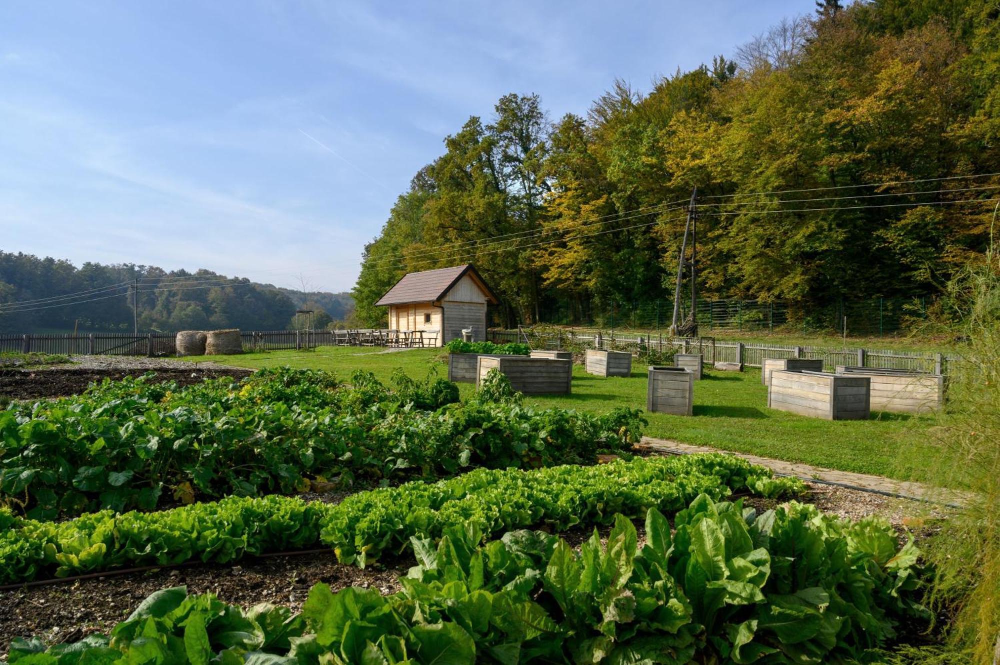 Hotel Grad Otocec - Relais Chateaux Eksteriør billede